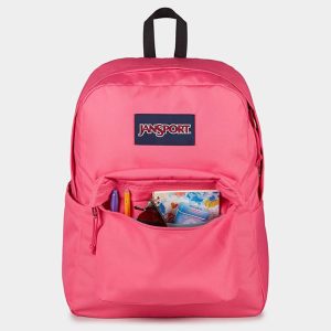 JanSport Backpack Hot Pink Padded 15-inch Laptop and Bottle Pocket 2 - 300