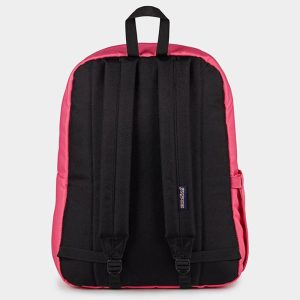 JanSport Backpack Hot Pink Padded 15-inch Laptop and Bottle Pocket 3 - 300