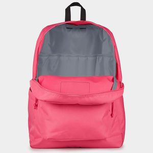 JanSport Backpack Hot Pink Padded 15-inch Laptop and Bottle Pocket 4 - 300