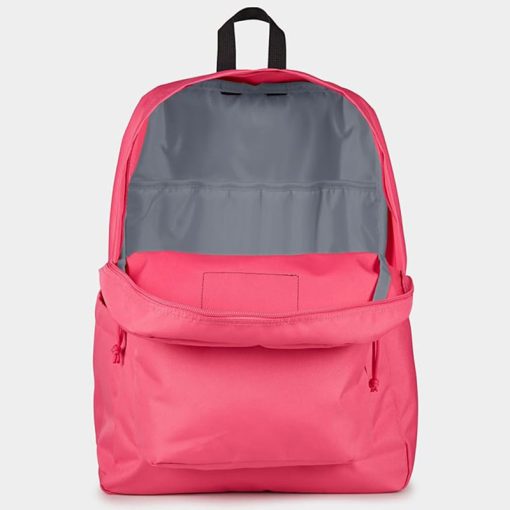JanSport Backpack Hot Pink Padded 15-inch Laptop and Bottle Pocket 4