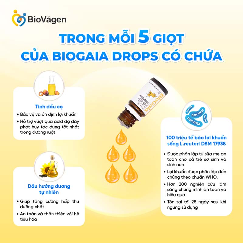 Men vi sinh BioGaia ProTectis Drops 5ml cải thiện hệ tiêu hóa xuất xứ Thụy Điển dung 5 giọt Men vi sinh BioGaia ProTectis Drops 5ml cải thiện hệ tiêu hóa xuất xứ Thụy Điển dung 5 giọt