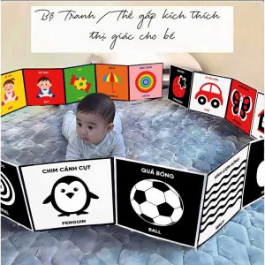 Thẻ Kích Thích Thị Giác Cho Bé Từ 0-6 Tuổi - Hỗ Trợ Nhận Biết Màu Sắc Và Chi Tiết Vật Thể